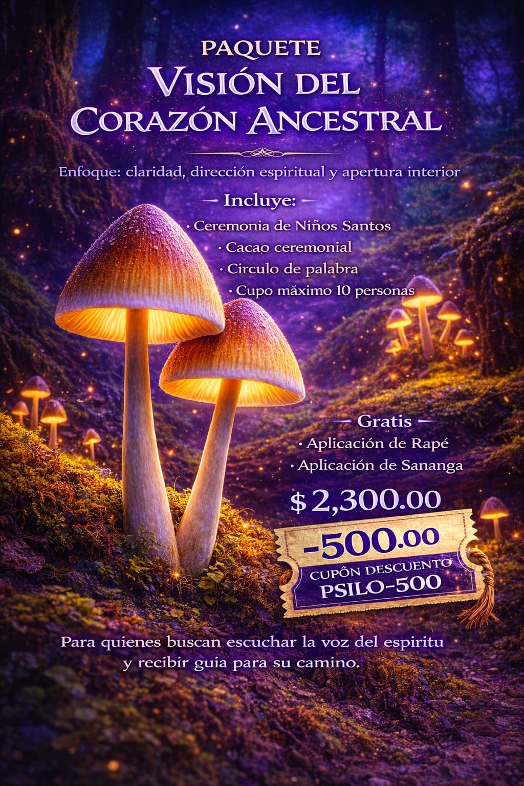 Paquete Visión del Corazón Ancestral — $2,300 MXN